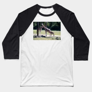 Giraffe, Mother and new born. Baseball T-Shirt